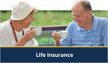 Life Insurance